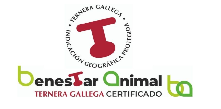 Certificación de Indicación Geográfica Protegida (IGP) para la Ternera Gallega, que garantiza su origen y calidad.