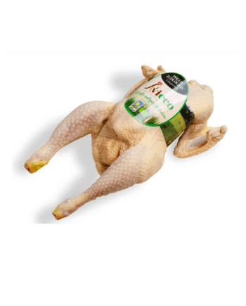 pollo ecológico de galicia